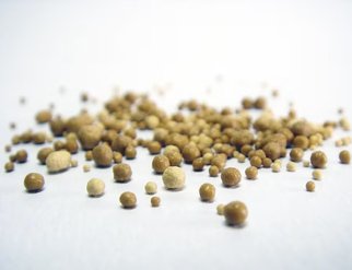 A close-up of small brown bits on a white surface, highlighting the texture and details of yeast extract